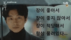 shampoo1004/88608/6154552101128834030