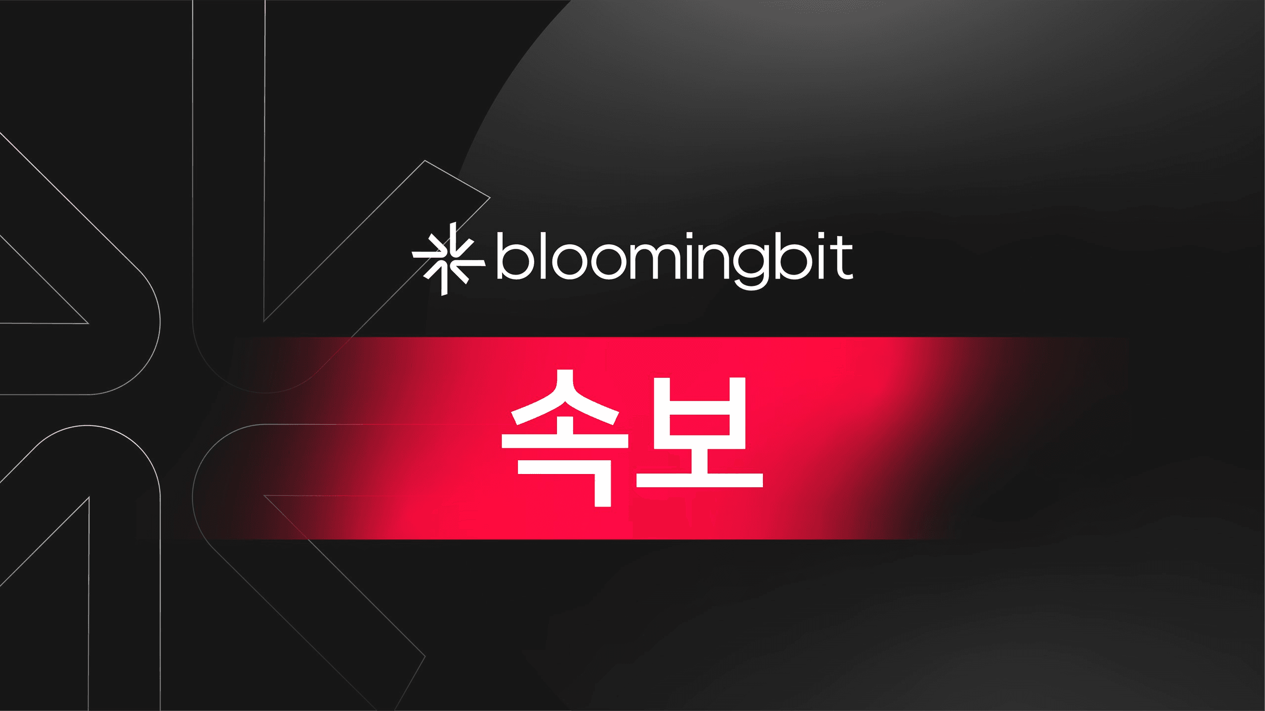 shampoo1004/88637/5802020193331951603