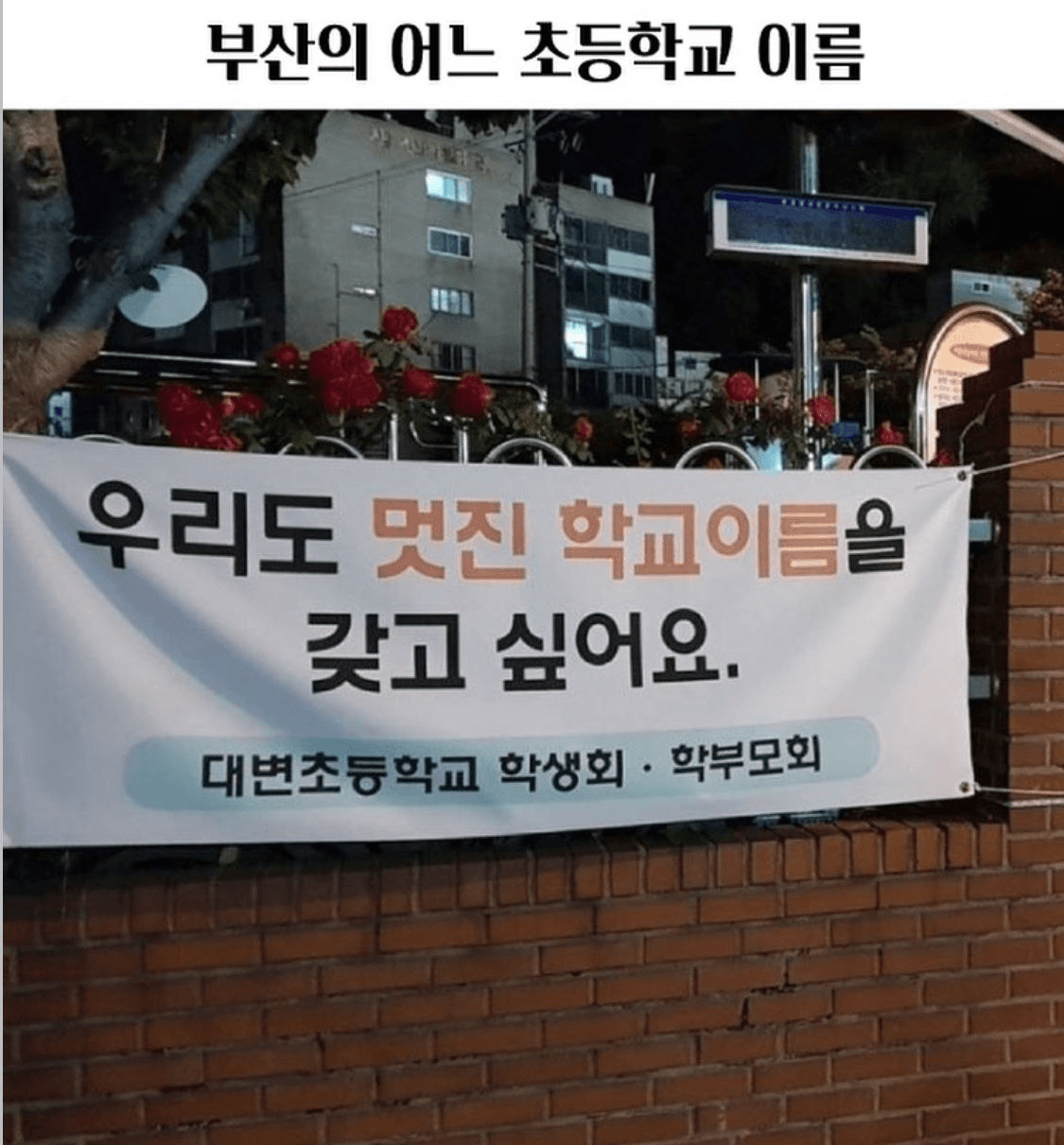 shampoo1004/88668/6165675469425020174