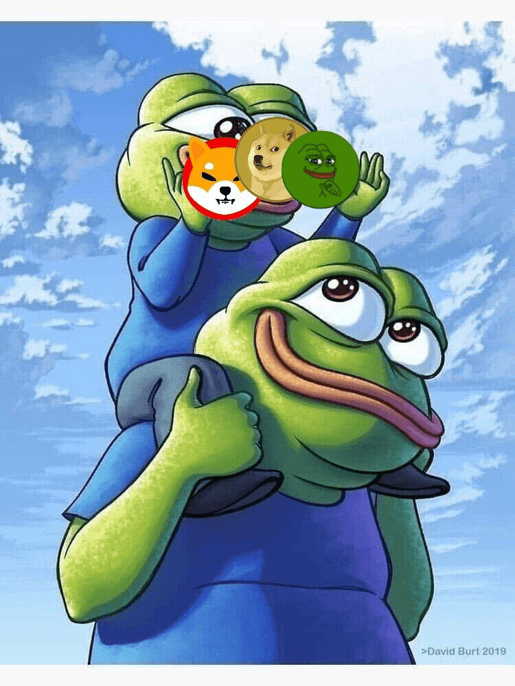 shampoo1004/88755/6181386107606469538