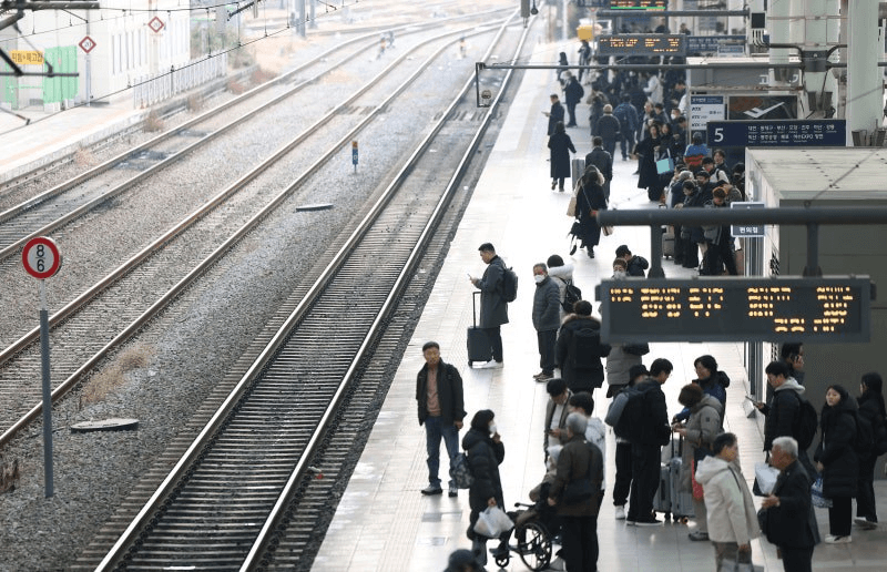 shampoo1004/88756/5896475234368424738