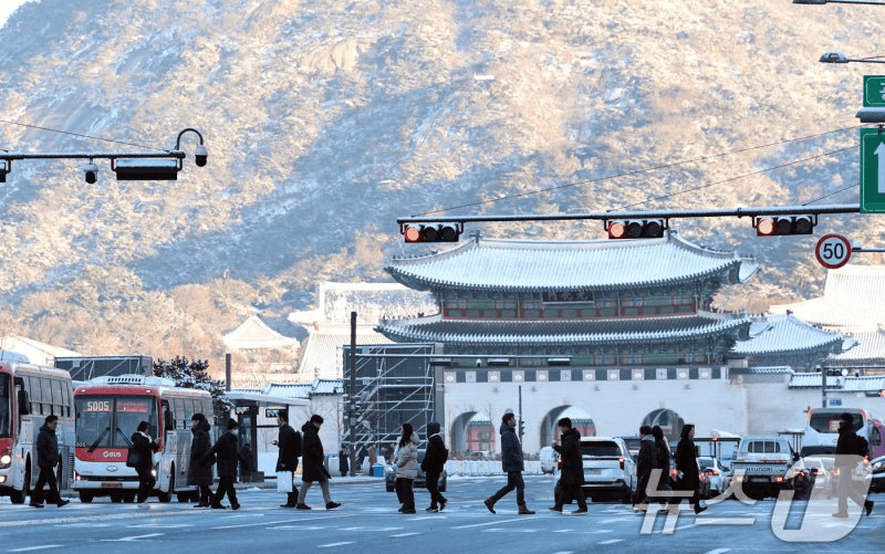 shampoo1004/88790/5905582802713906036