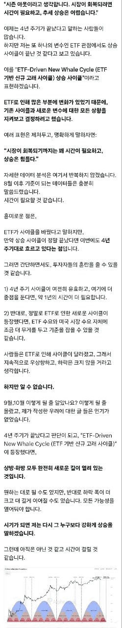 shampoo1004/88822/6197395649741917339