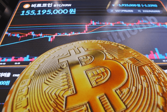 shampoo1004/88882/5921411281913056126