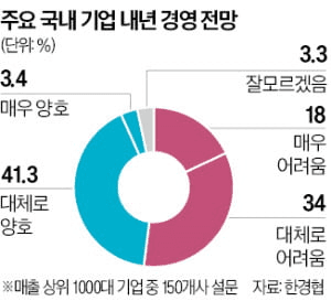 shampoo1004/88928/5930408448124193820