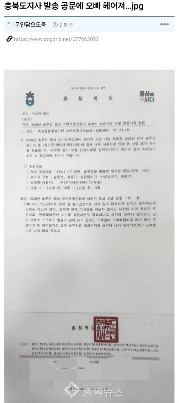 shampoo1004/88966/6224510486951168790