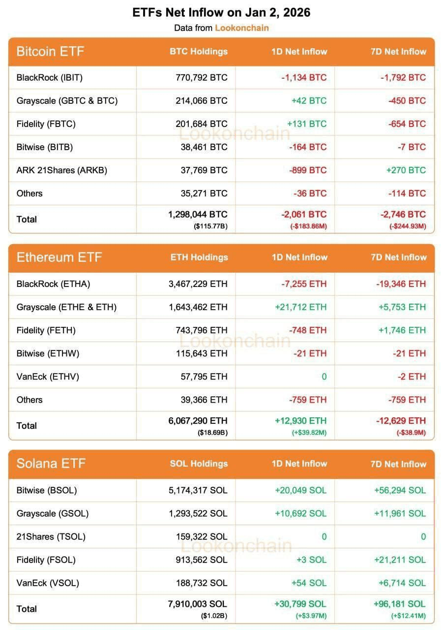 shampoo1004/89102/6251360307498389329