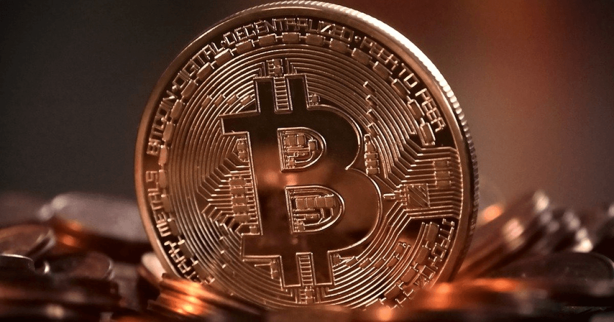 shampoo1004/89358/6022844631189490529