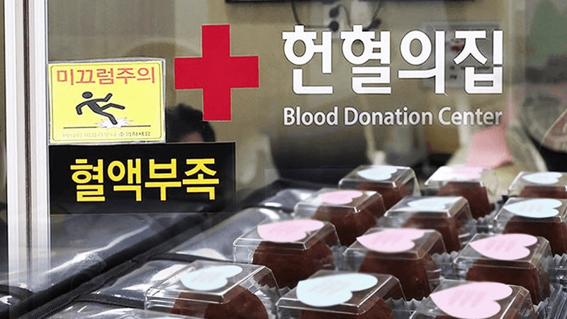 shampoo1004/89446/6040695898251136208