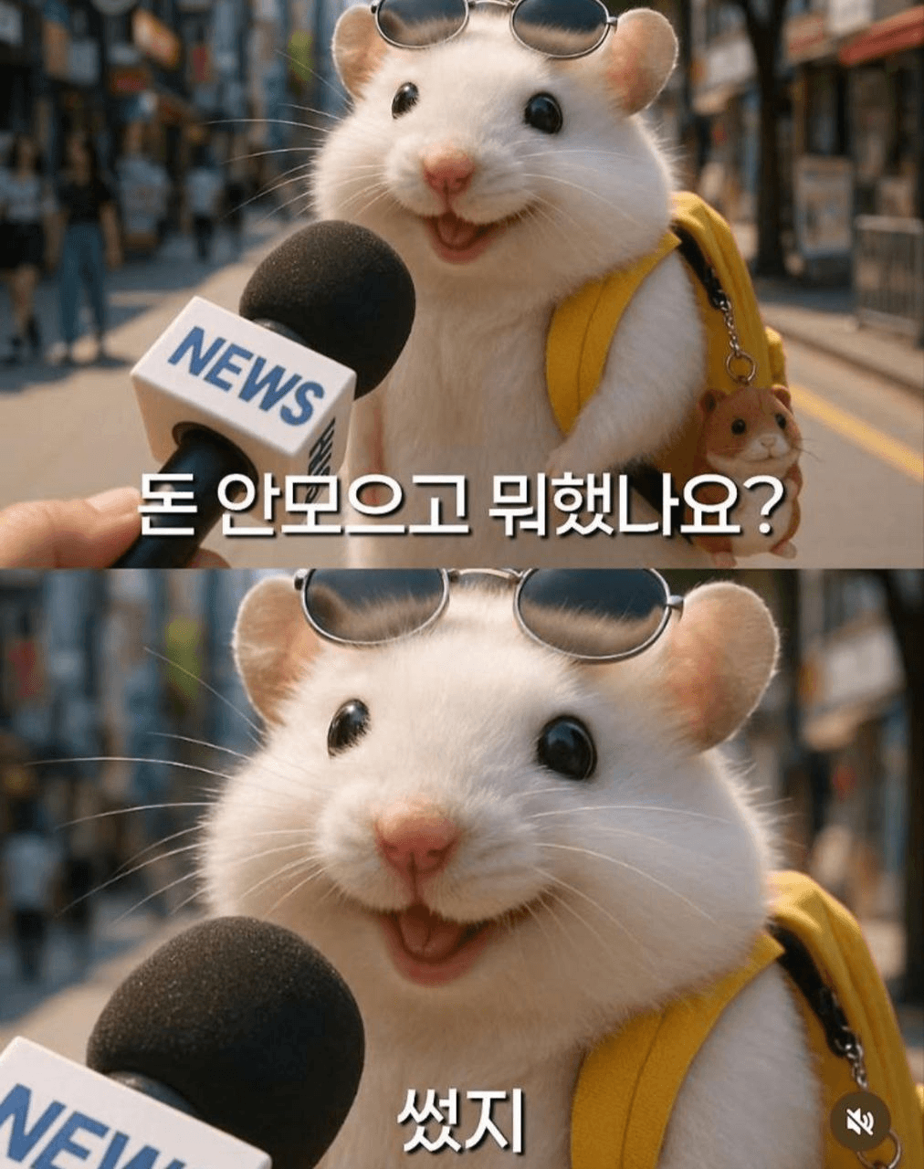 shampoo1004/89564/6059951400575241825