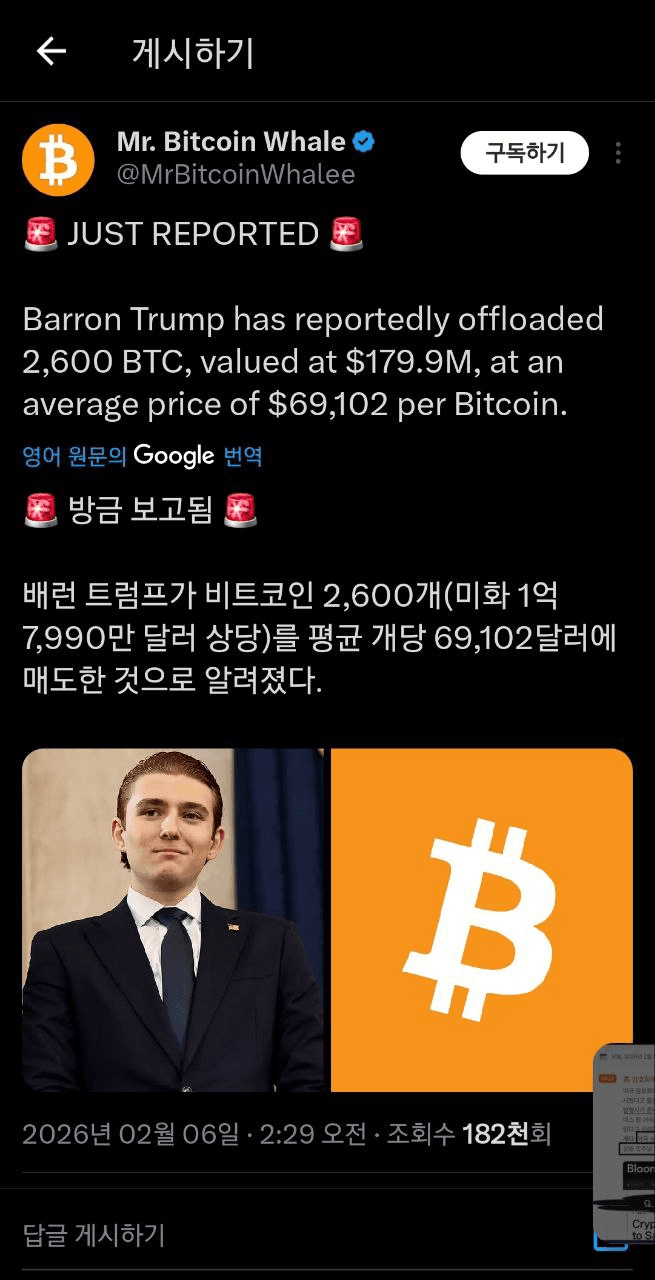 shampoo1004/89581/6064582852789079751