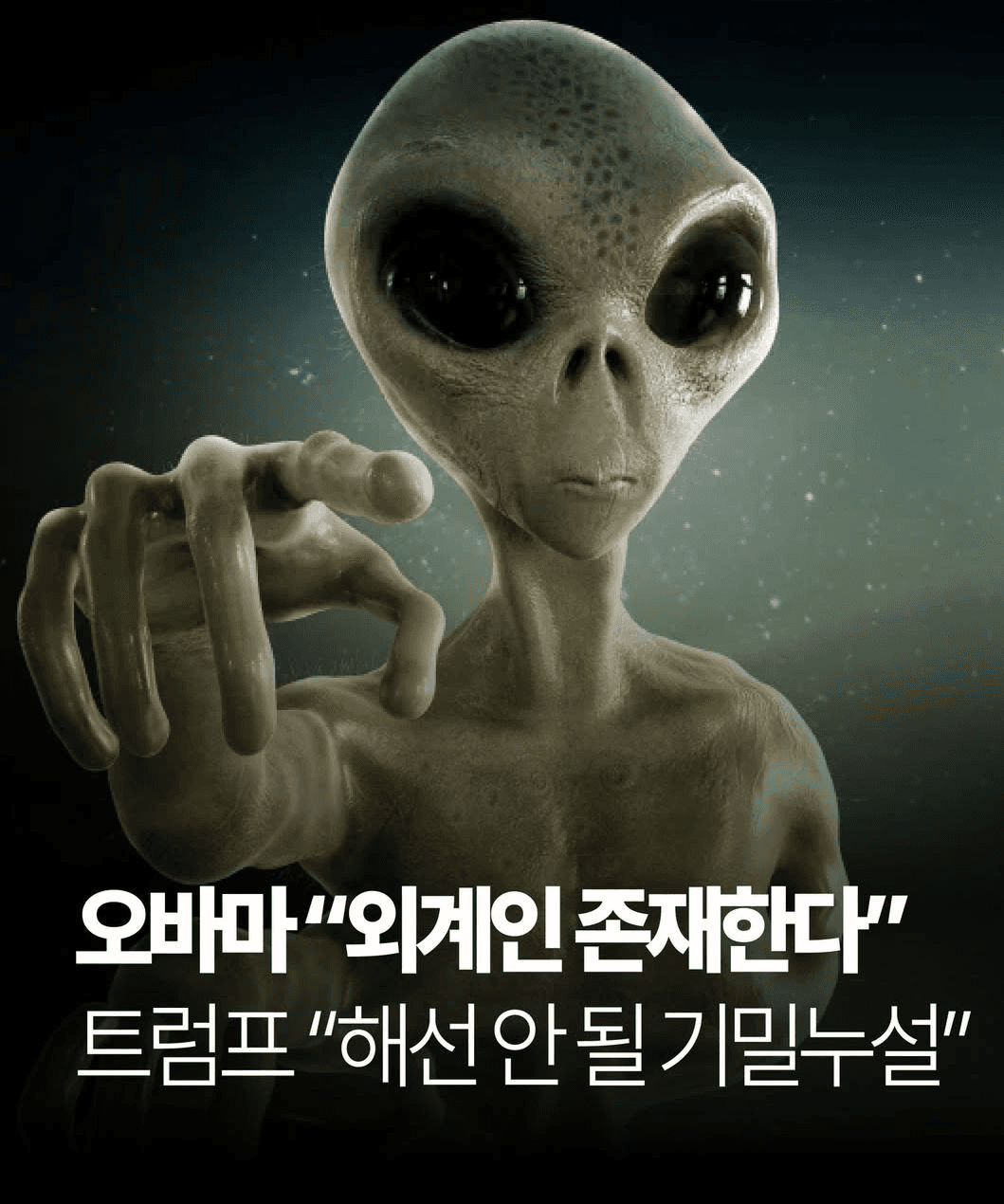 shampoo1004/89793/6111586214667291984