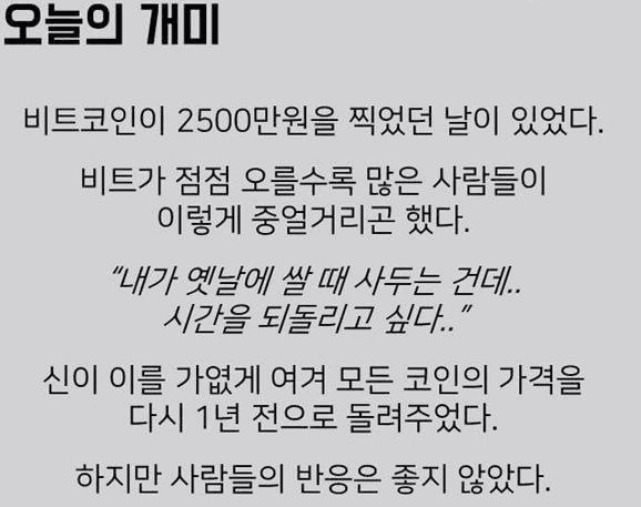 shampoo1004/89935/6145699108379890297