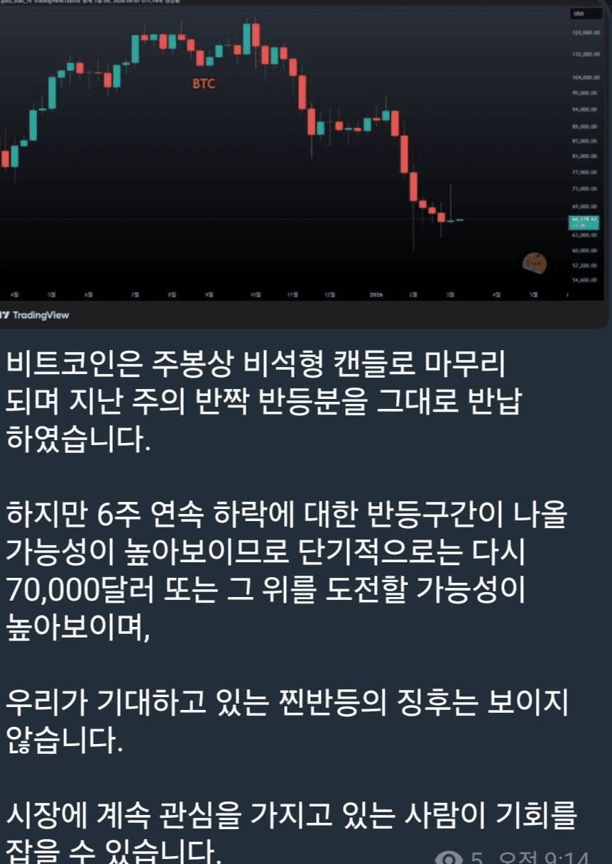 shampoo1004/89963/6156917416928153447