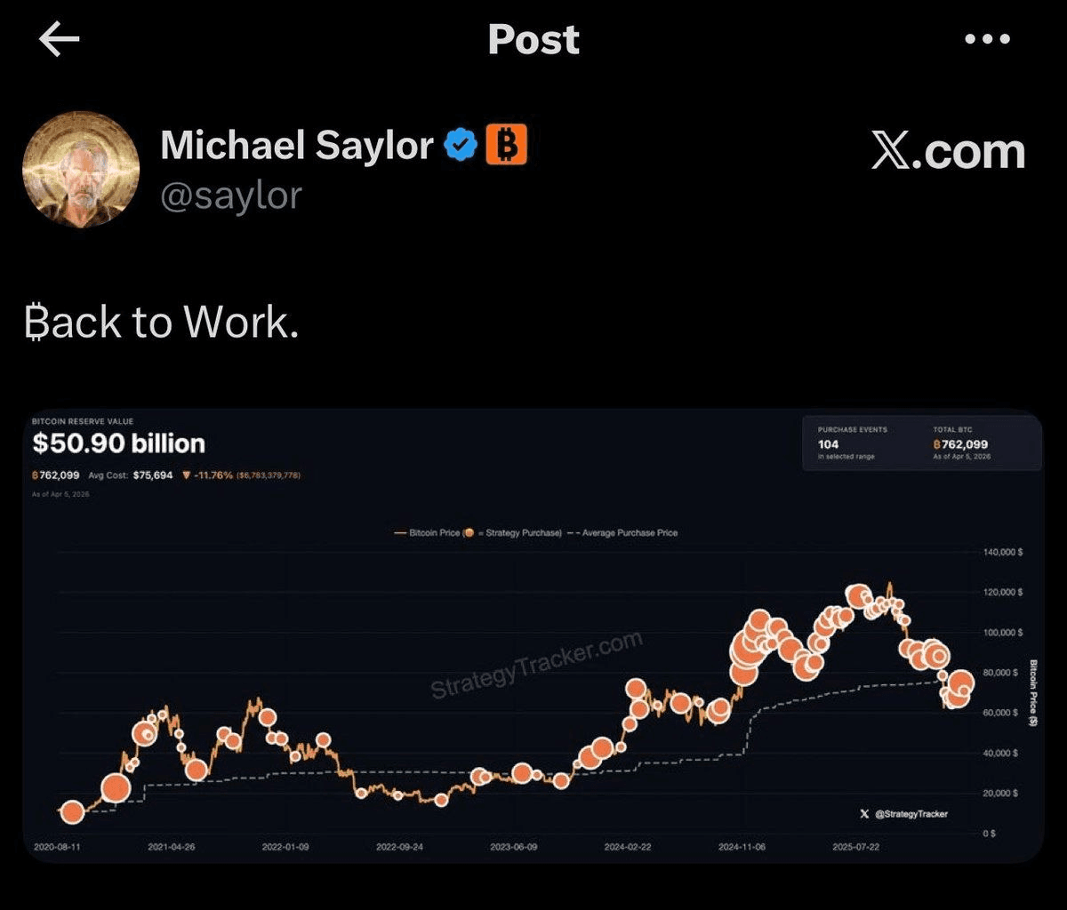 shampoo1004/90243/6240079953852567181