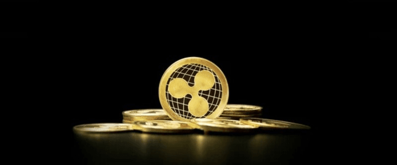 shampoo1004/90263/5910016583349155695