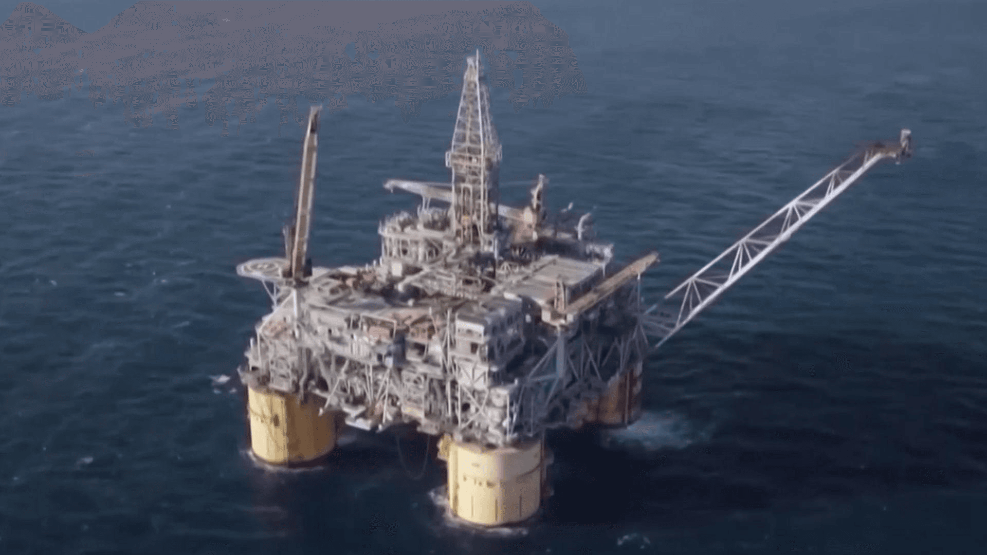 shampoo1004/90281/5957195407530069398