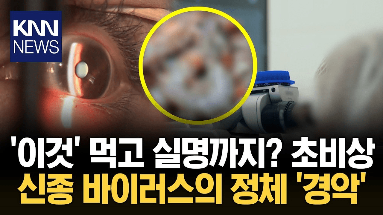 shampoo1004/90317/5966535943491620232