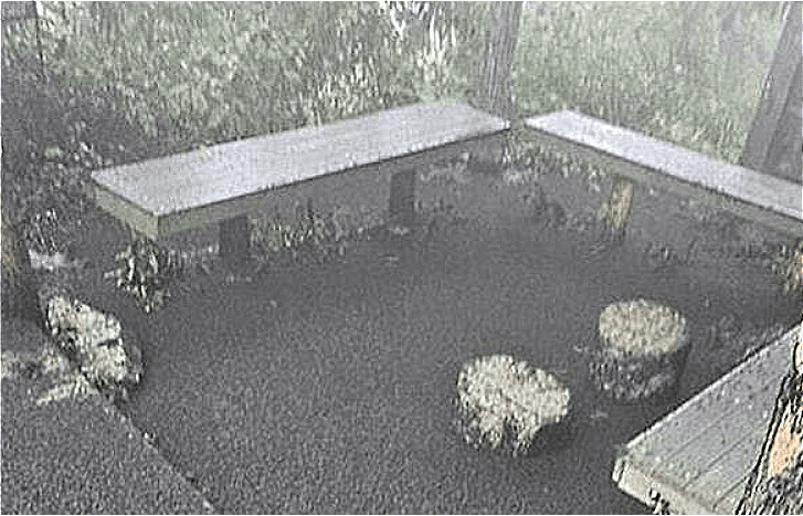 shampoo1004/90492/6020604217334107410