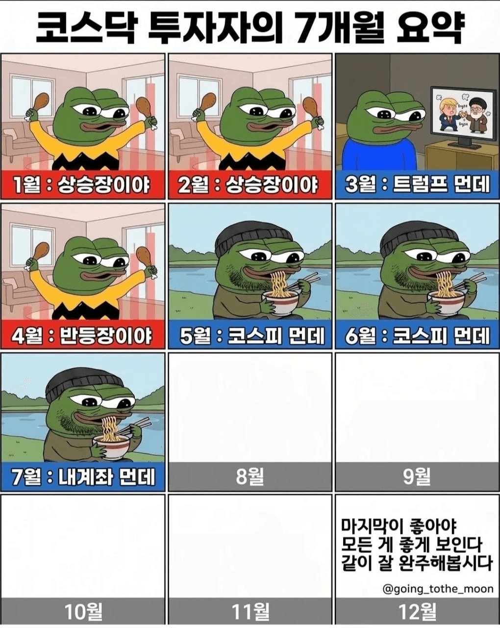 shampoo1004/91112/6264781375923752549