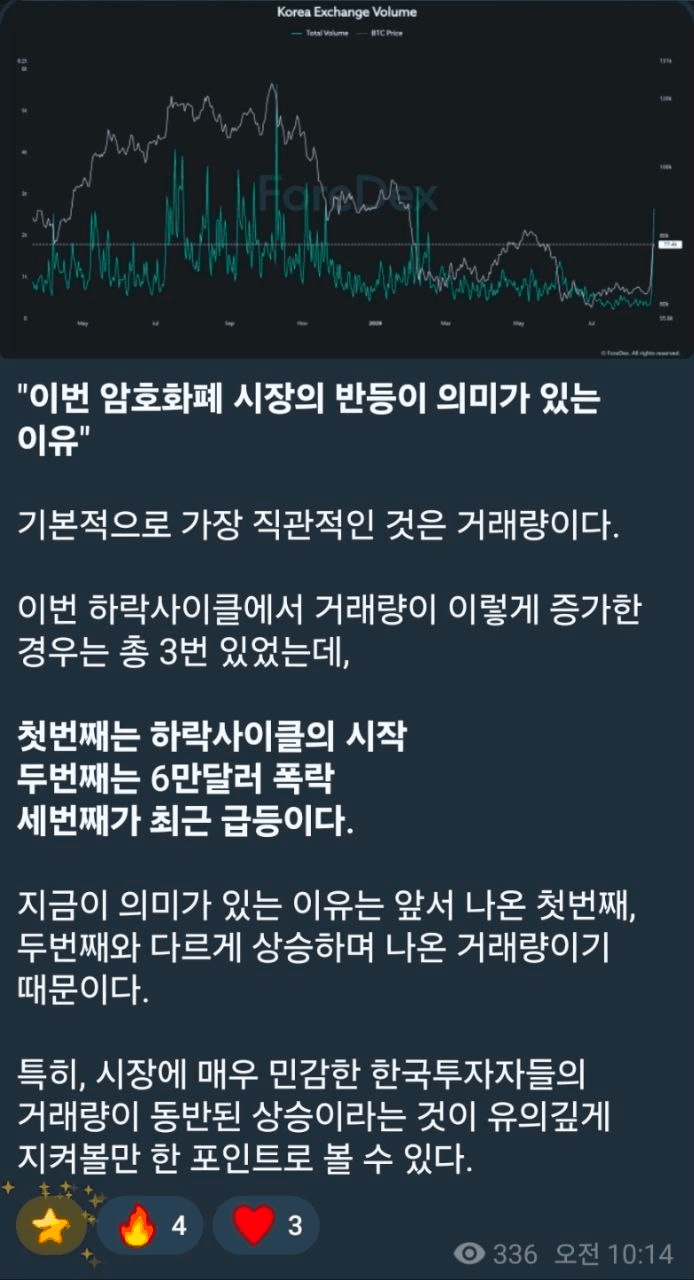 shampoo1004/91473/6080194595053572647