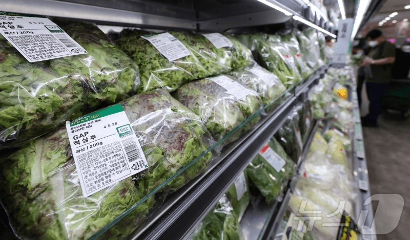 shampoo1004/91567/5822057680355397499