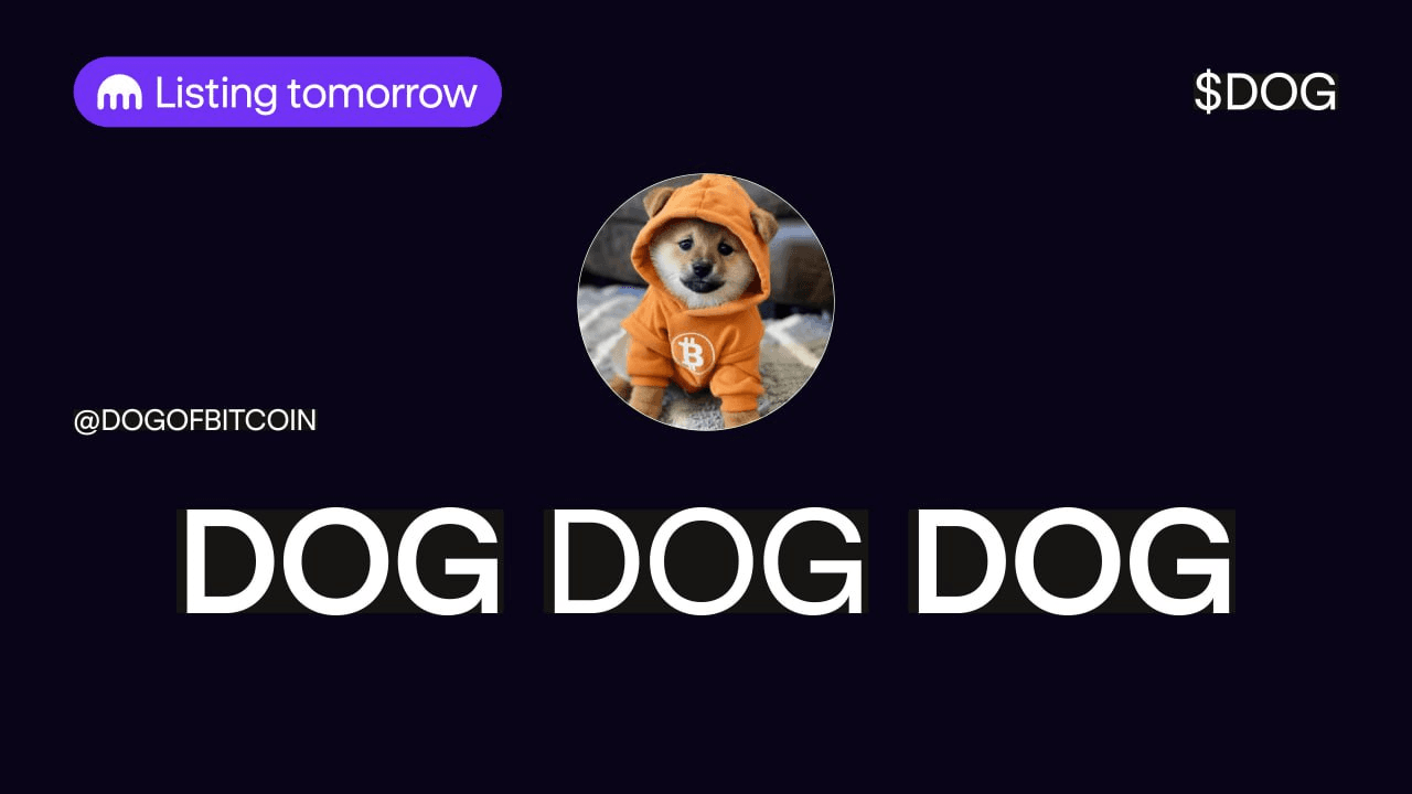 yobeullyANN/16032/6264926640303884034