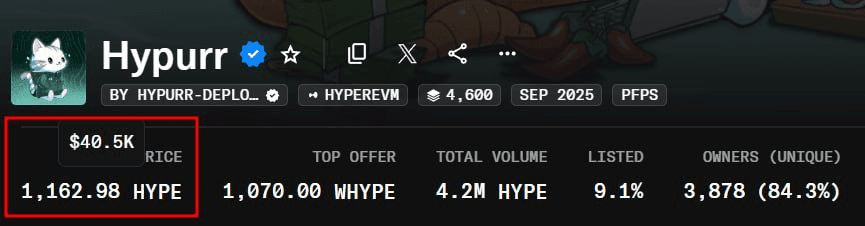 yobeullyANN/17868/6323504900393864231